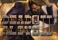 Dead or Alive 2