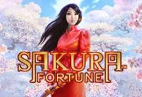 Sakura Fortune
